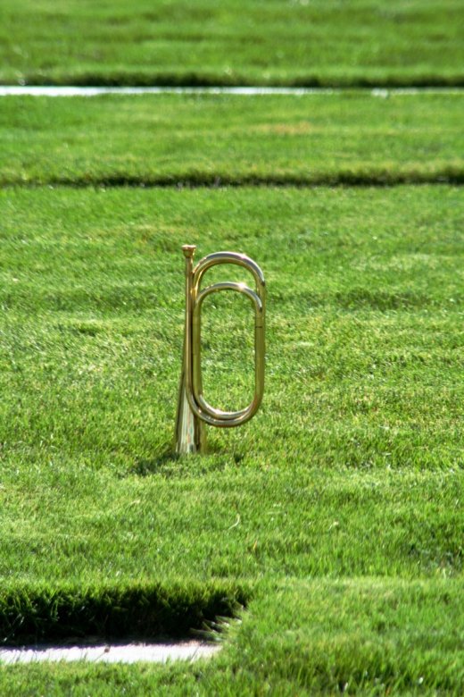 255945_10150196368069247_6882685_o